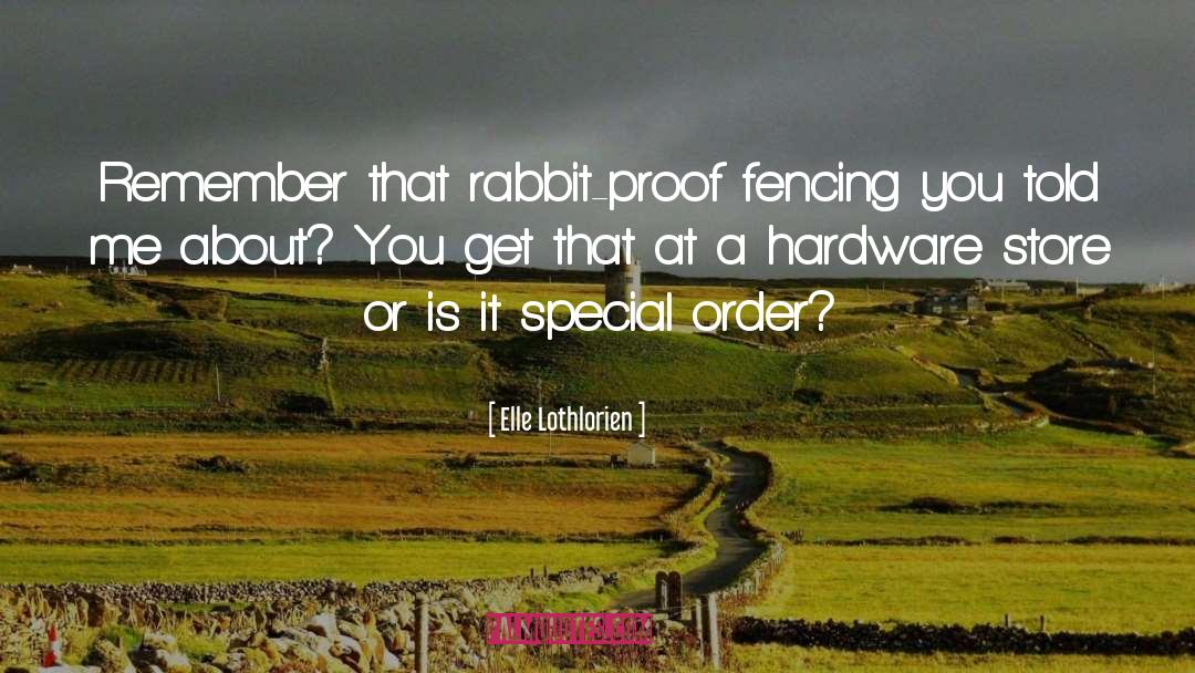 Fencing quotes by Elle Lothlorien