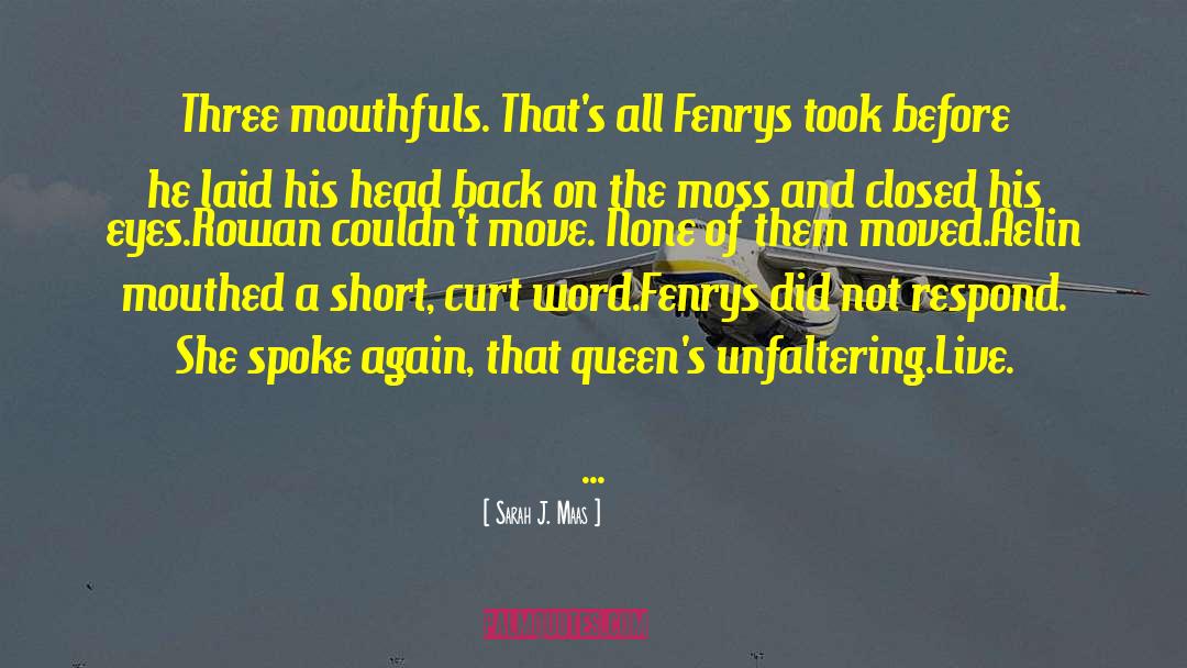 Fenrys quotes by Sarah J. Maas