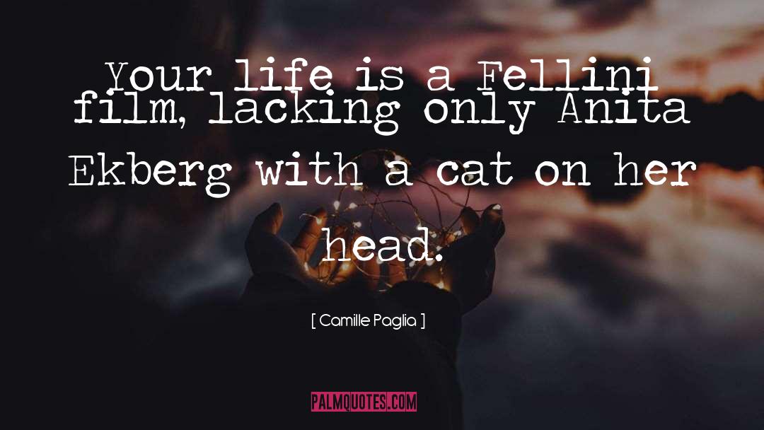 Feral Cat quotes by Camille Paglia