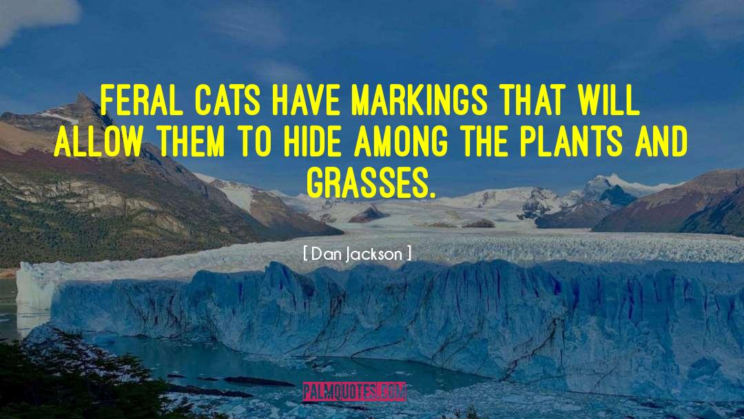 Feral Cats quotes by Dan Jackson