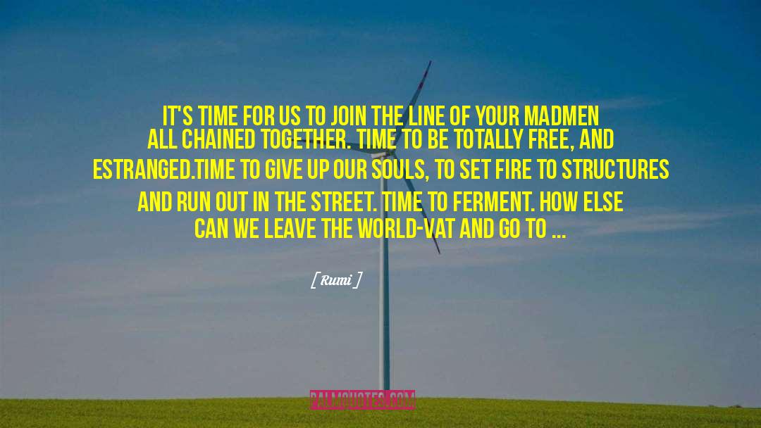Ferment quotes by Rumi