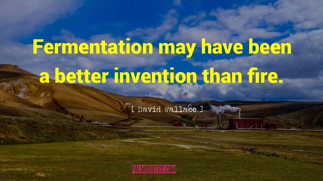 Fermentation quotes by David Wallace