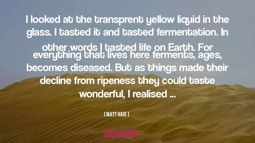 Fermentation quotes by Matt Haig