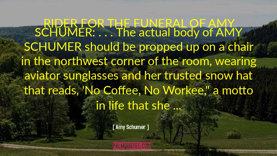 Ferreria Funeral Services quotes by Amy Schumer