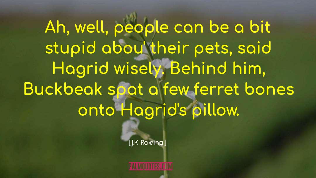 Ferret Malfoy quotes by J.K. Rowling