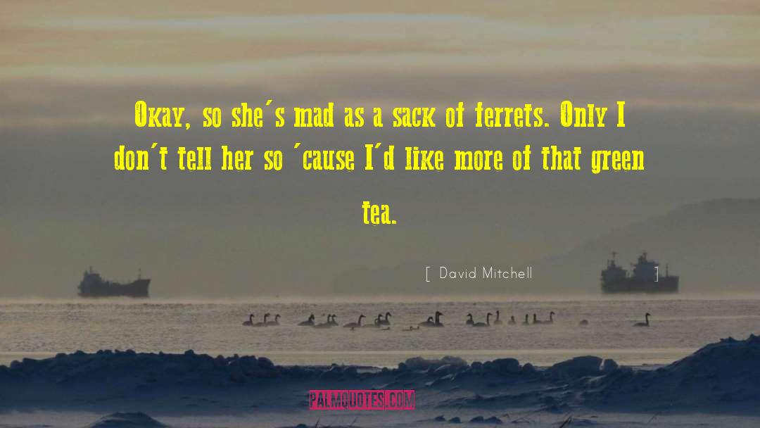 Ferrets quotes by David Mitchell