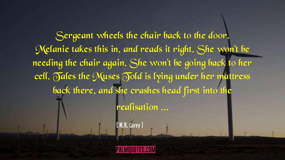 Ferris Wheels quotes by M.R. Carey