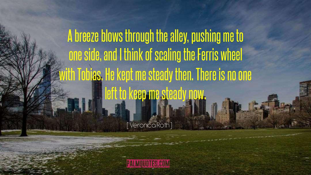 Ferris Wheels quotes by Veronica Roth