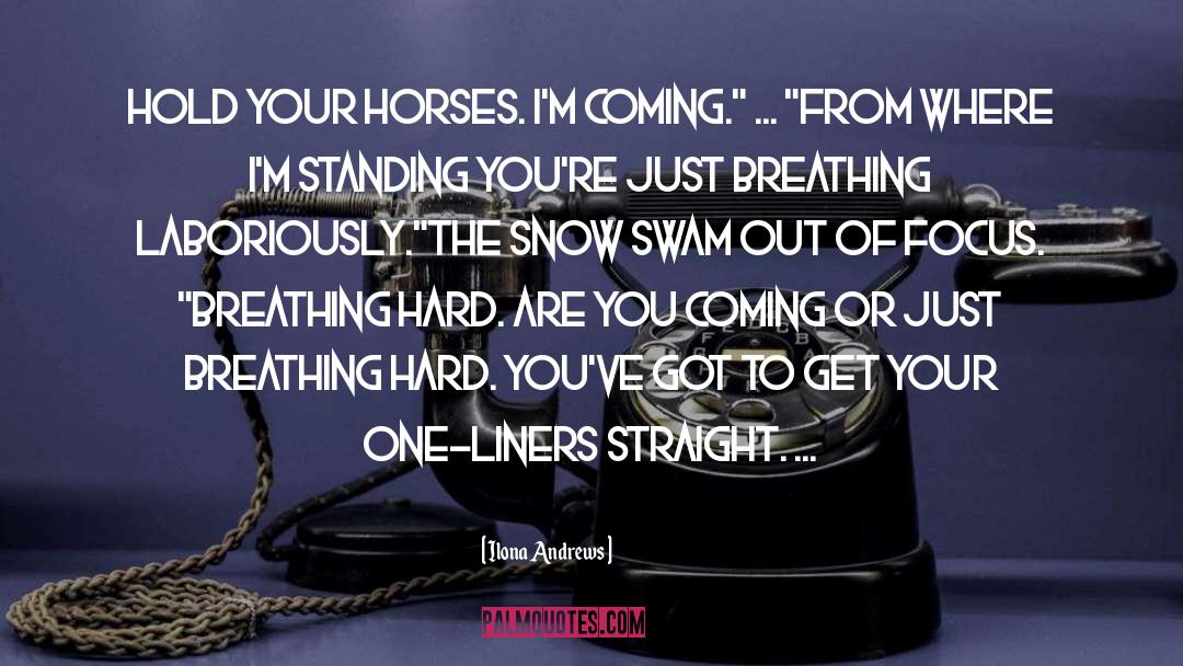 Ferrying Horses quotes by Ilona Andrews