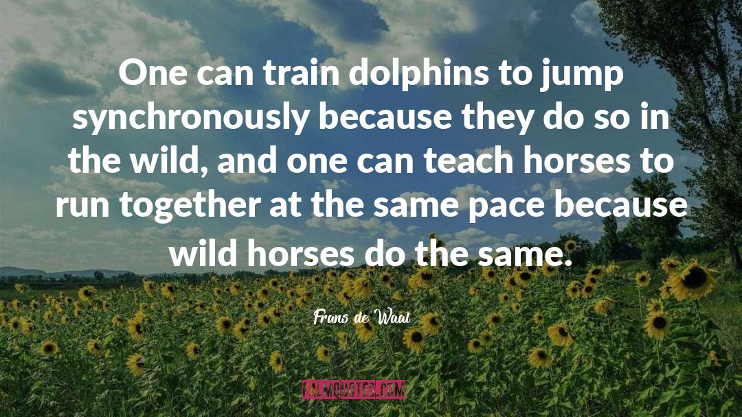Ferrying Horses quotes by Frans De Waal