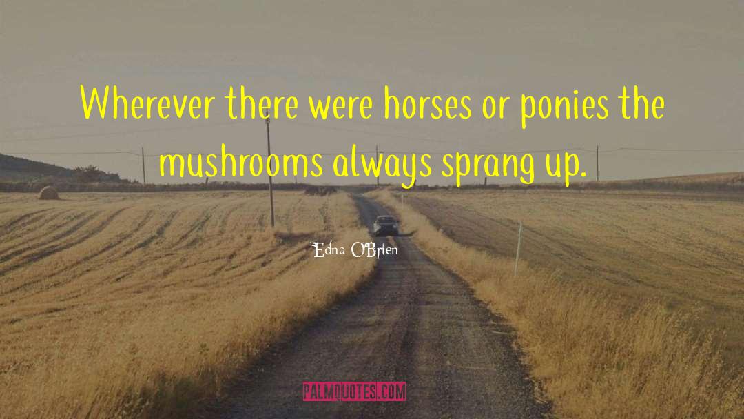 Ferrying Horses quotes by Edna O'Brien