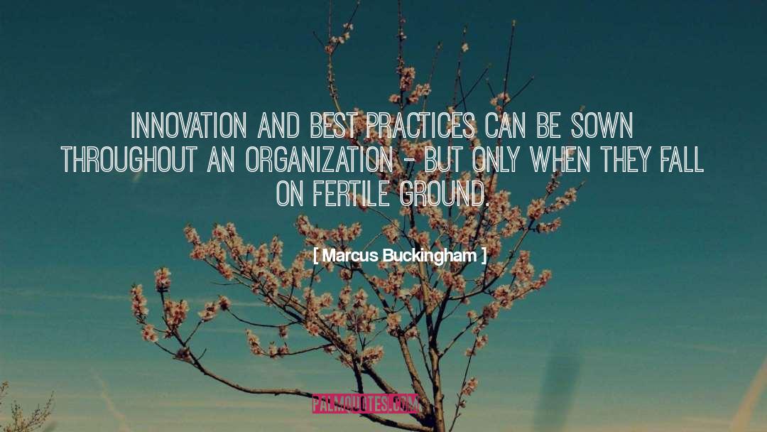 Fertile Ground quotes by Marcus Buckingham