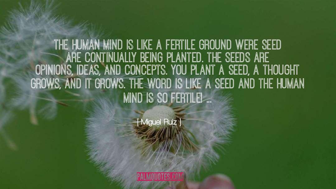 Fertile Ground quotes by Miguel Ruiz