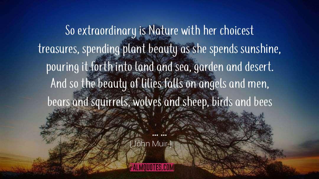 Fertile Land quotes by John Muir