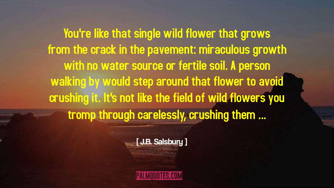 Fertile Soil quotes by J.B. Salsbury