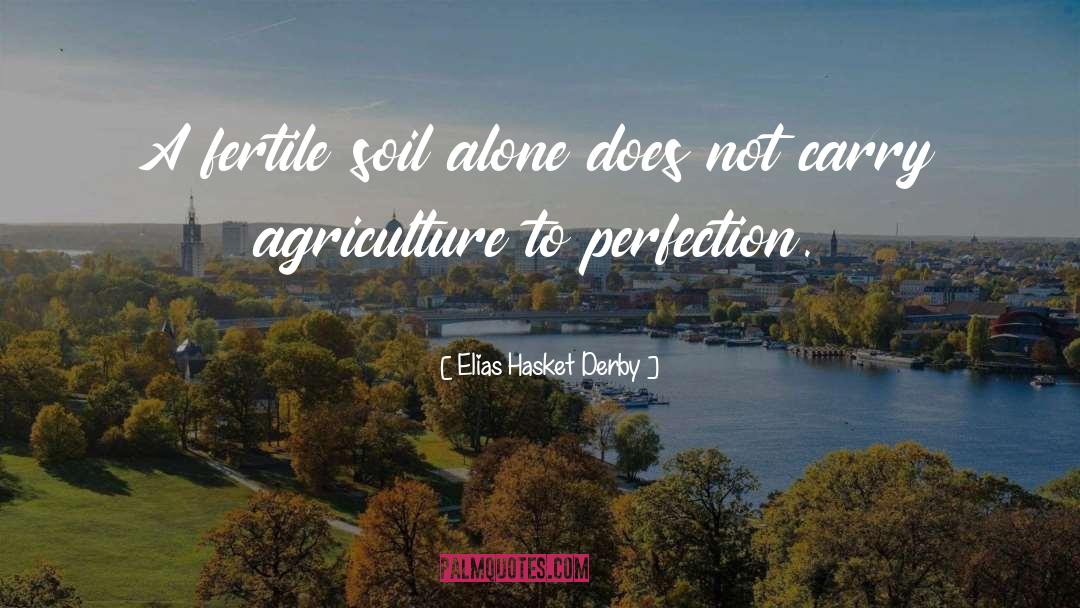 Fertile Soil quotes by Elias Hasket Derby