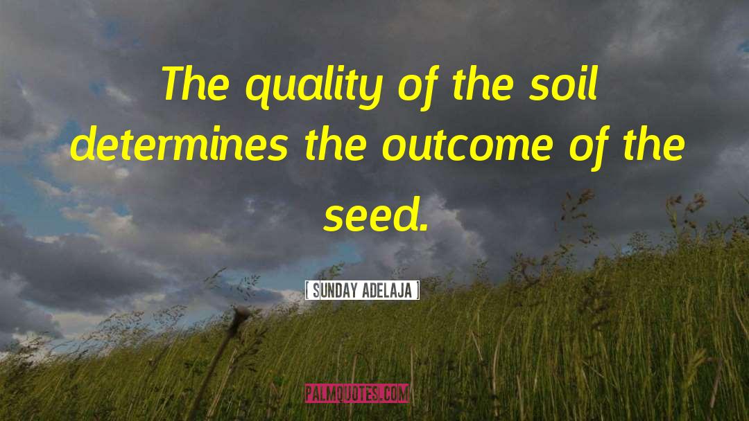 Fertile Soil quotes by Sunday Adelaja