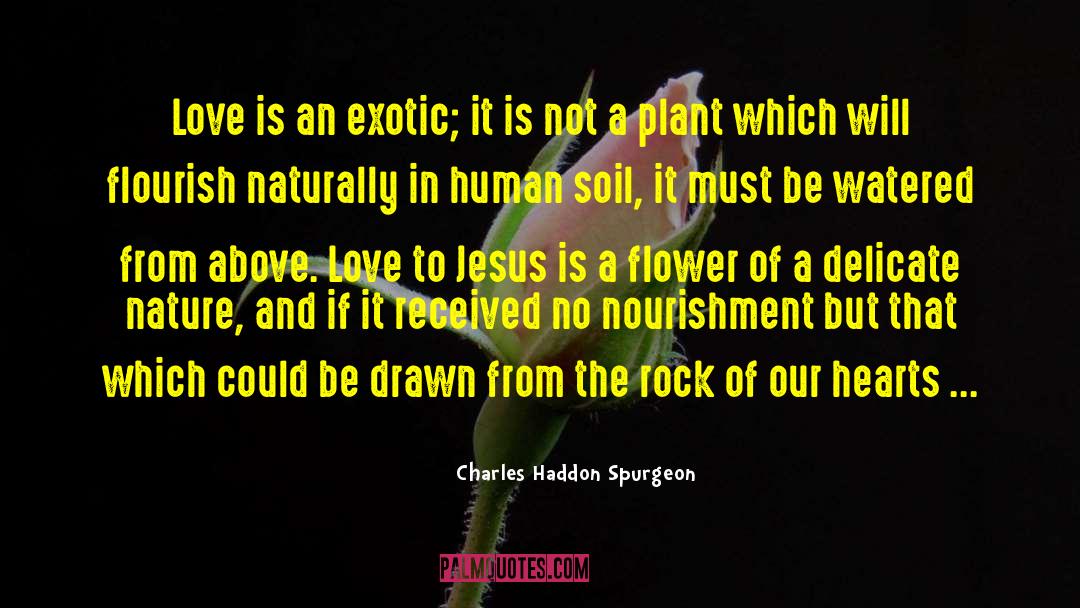 Fertile Soil quotes by Charles Haddon Spurgeon