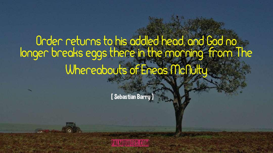 Fertilized Eggs quotes by Sebastian Barry