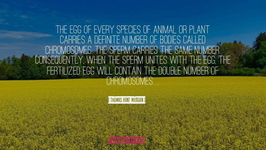 Fertilized Eggs quotes by Thomas Hunt Morgan