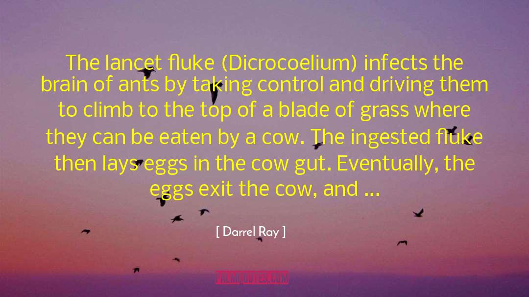 Fertilized Eggs quotes by Darrel Ray