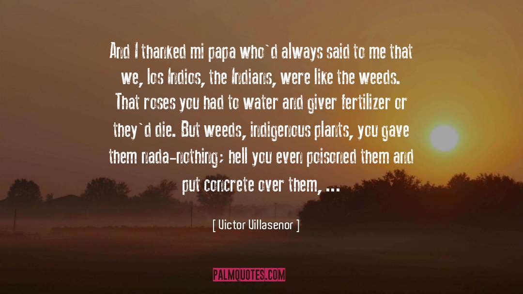 Fertilizer quotes by Victor Villasenor