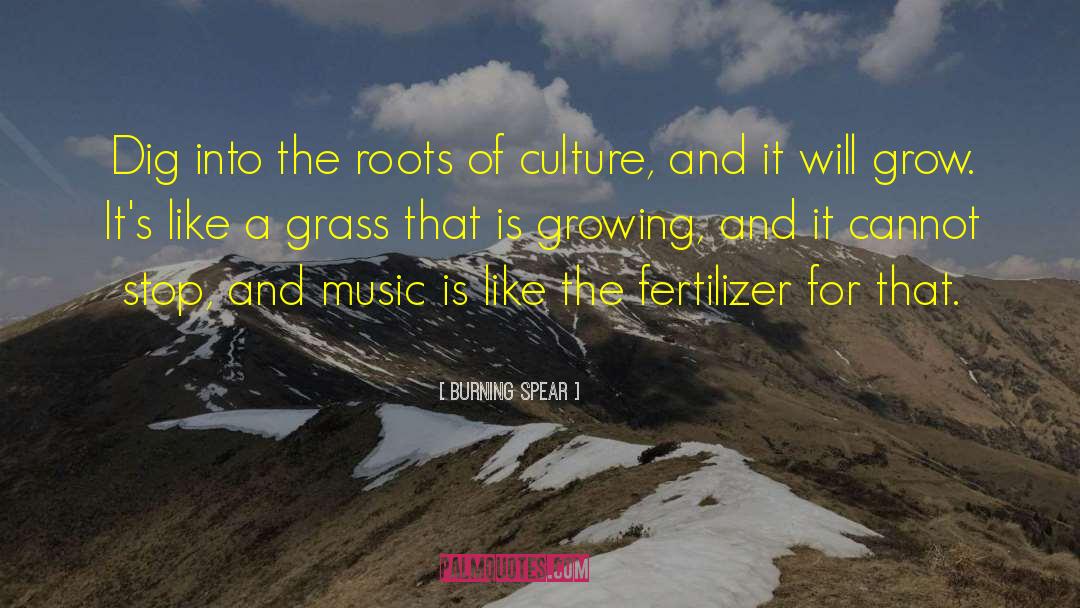 Fertilizer quotes by Burning Spear