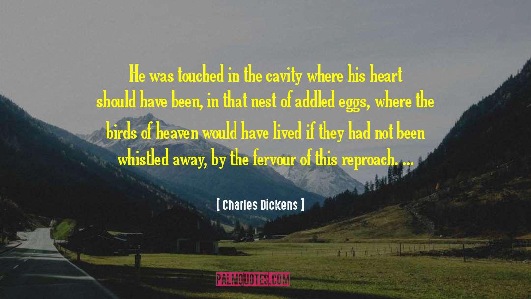 Fervour quotes by Charles Dickens