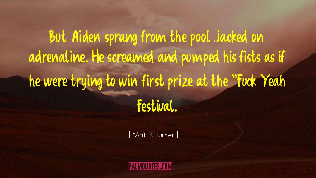 Festival quotes by Matt K. Turner