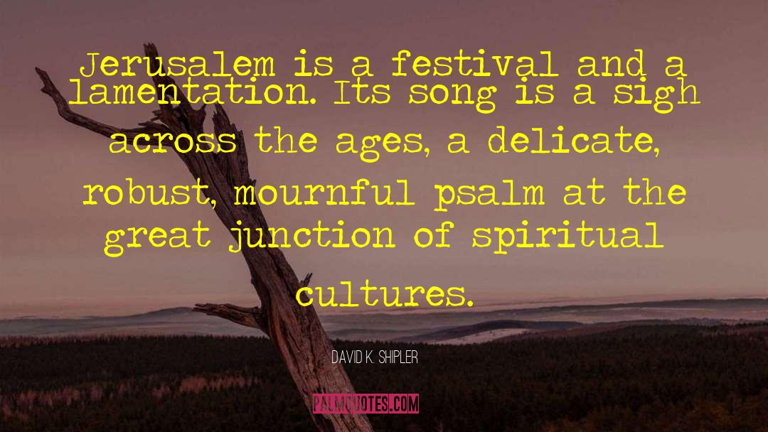 Festival quotes by David K. Shipler