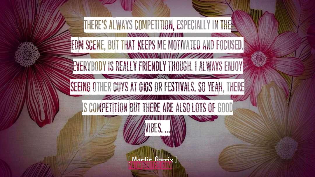 Festivals quotes by Martin Garrix