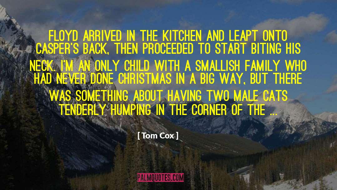 Festive quotes by Tom Cox