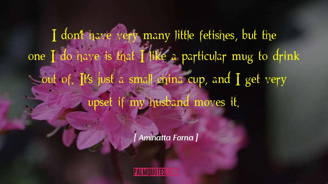 Fetishes quotes by Aminatta Forna