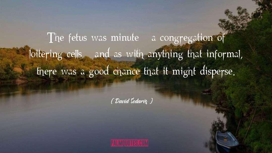 Fetus quotes by David Sedaris