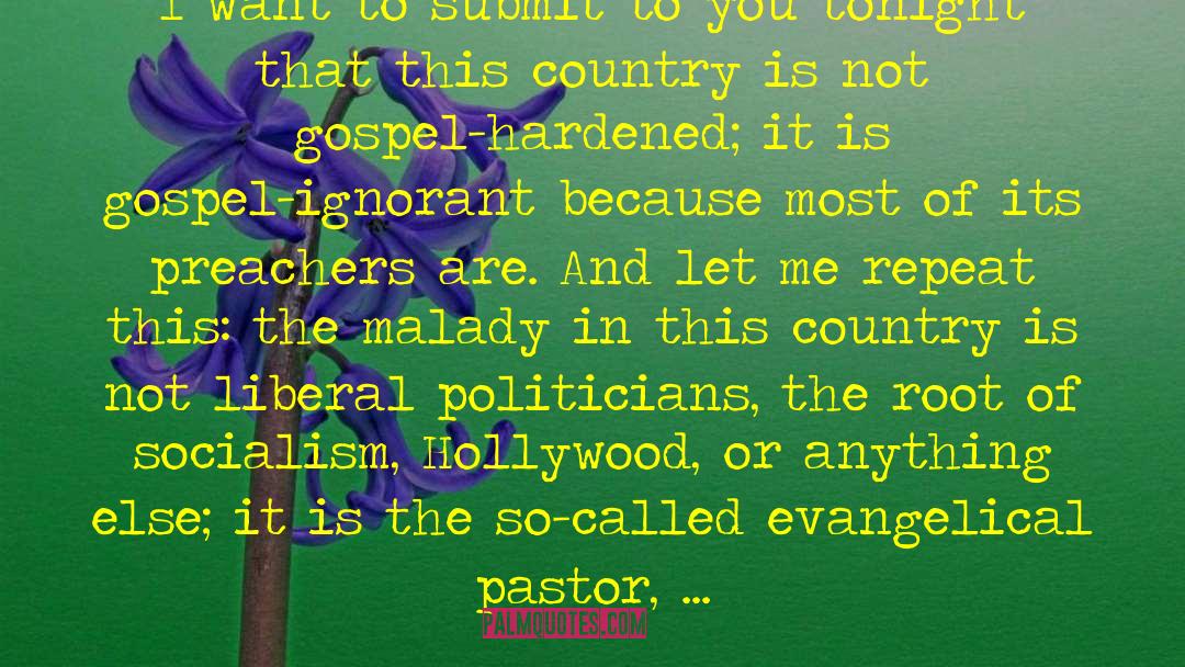 Feudal Socialism quotes by Paul Washer