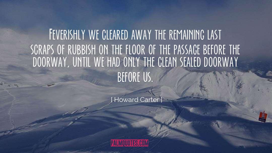 Feverishly quotes by Howard Carter