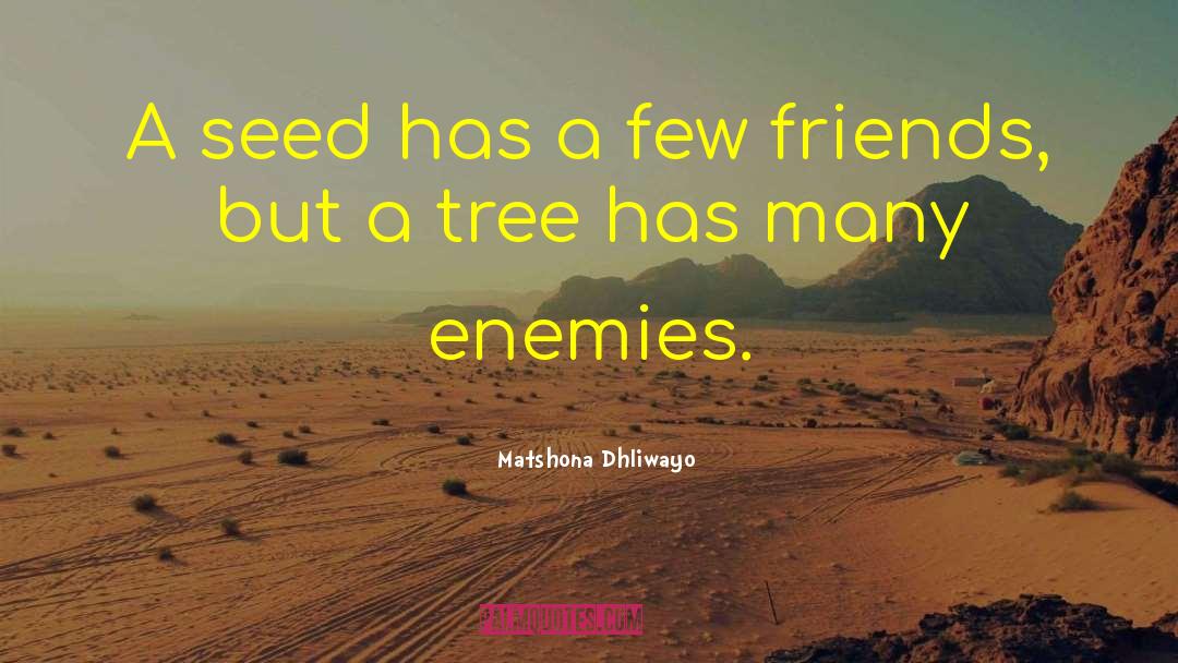 Few Friends quotes by Matshona Dhliwayo