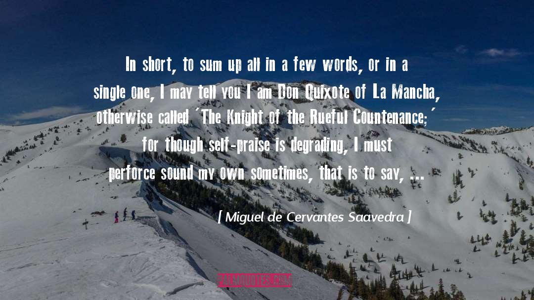 Few Words quotes by Miguel De Cervantes Saavedra