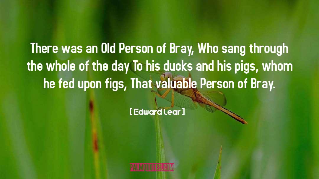 Fiachra Figs quotes by Edward Lear