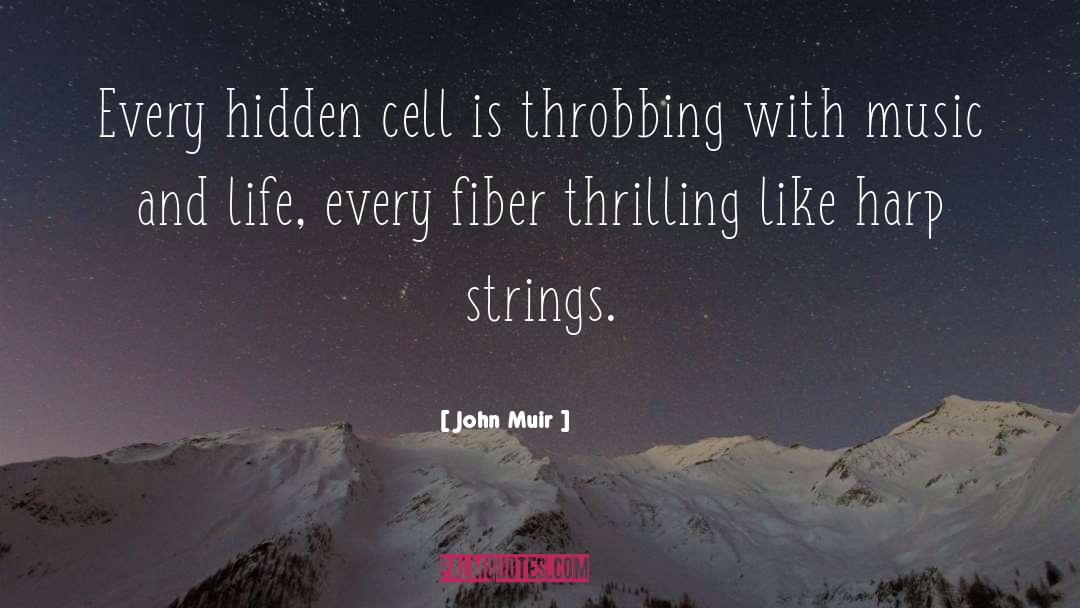 Fiber quotes by John Muir