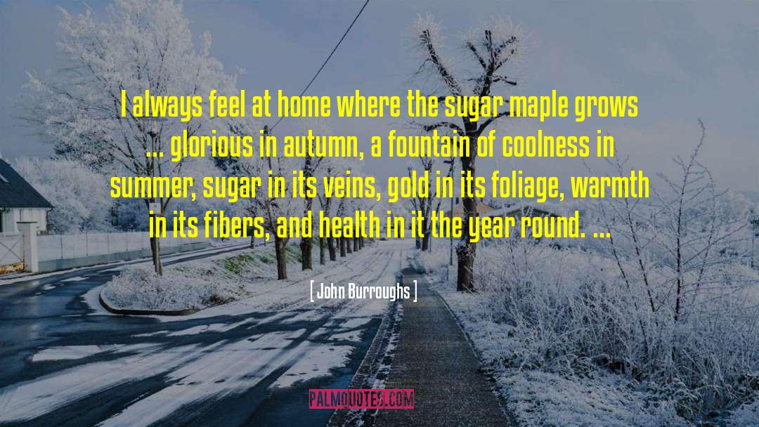 Fibers quotes by John Burroughs