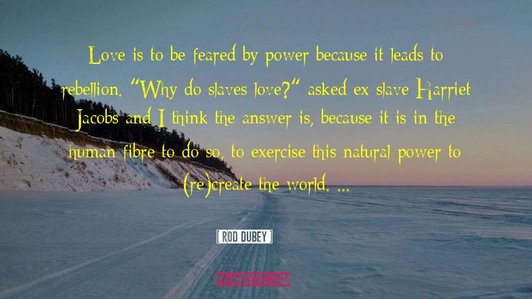 Fibre quotes by Rod Dubey