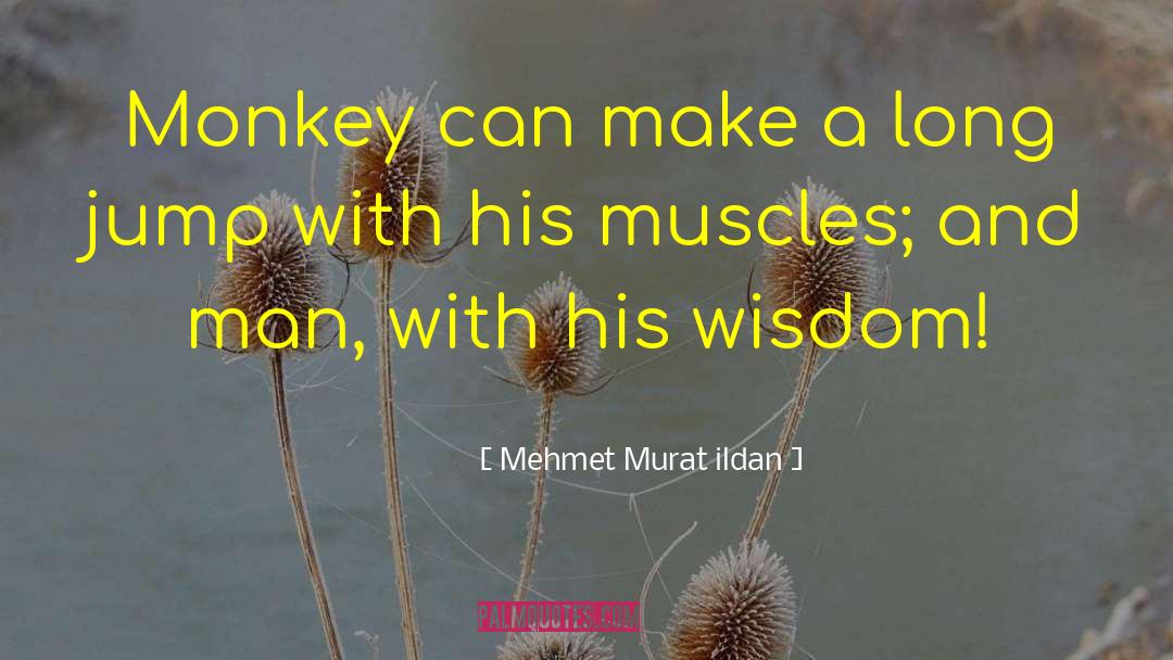 Fibrillating Muscles quotes by Mehmet Murat Ildan