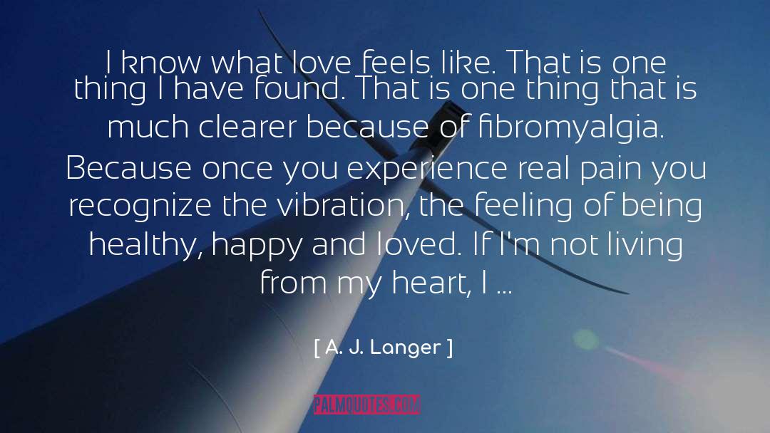 Fibromyalgia quotes by A. J. Langer