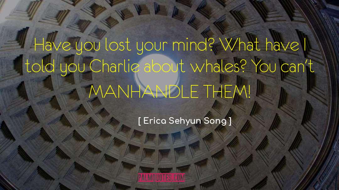 Fiction Fantasy quotes by Erica Sehyun Song