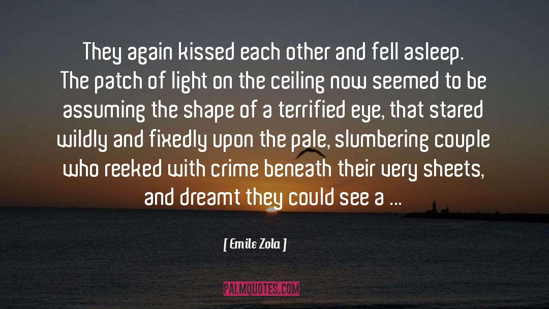 Fiction Photography quotes by Emile Zola