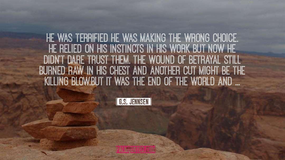 Fiction Romance quotes by G.S. Jennsen