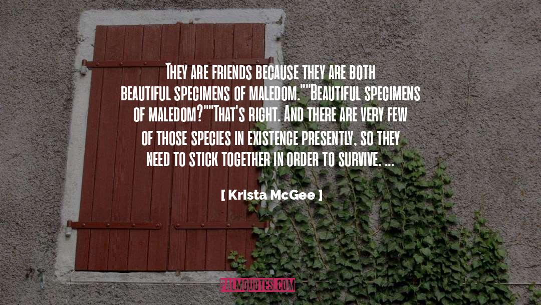 Fictional Friends quotes by Krista McGee