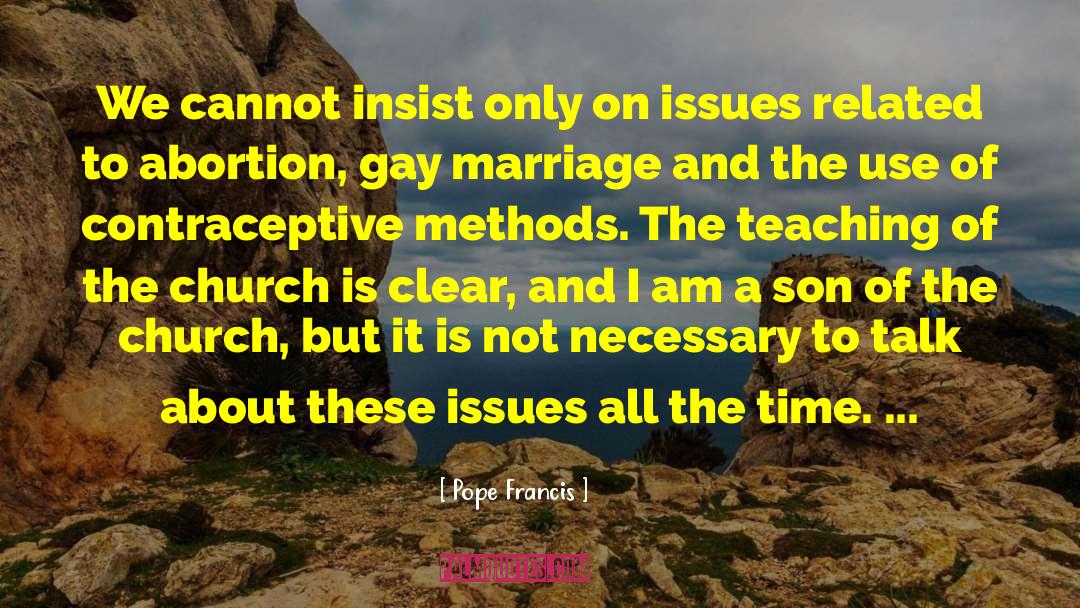 Fictitious Gay Son quotes by Pope Francis