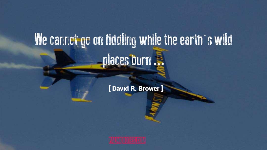 Fiddling quotes by David R. Brower